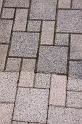IMG_0558