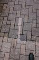 IMG_0559