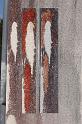 IMG_0862-r