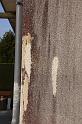 IMG_0889