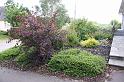 IMG_2702
